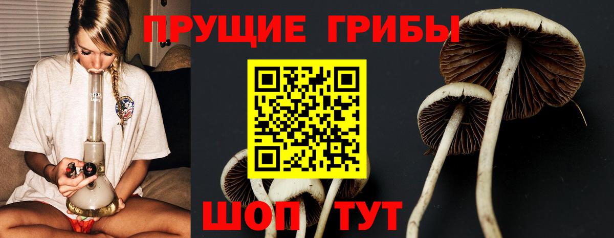 Галлюциногенные грибы Cubensis Рассказово