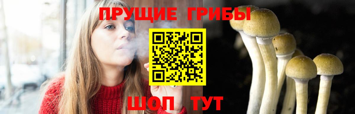 Галлюциногенные грибы Cubensis  Вход с VPN  Псилоцибиновые грибы Cubensis  Рассказово 